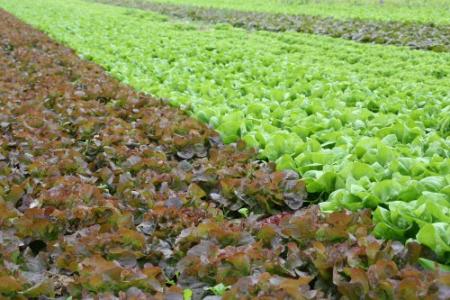 L'agriculture raisonne 
